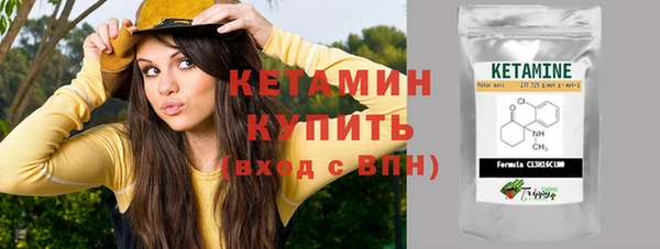прущие грибы Верея