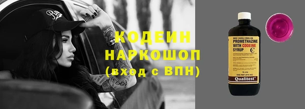 прущие грибы Верея