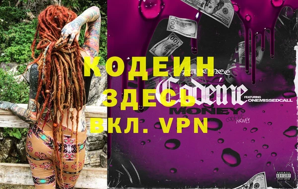 прущие грибы Верея