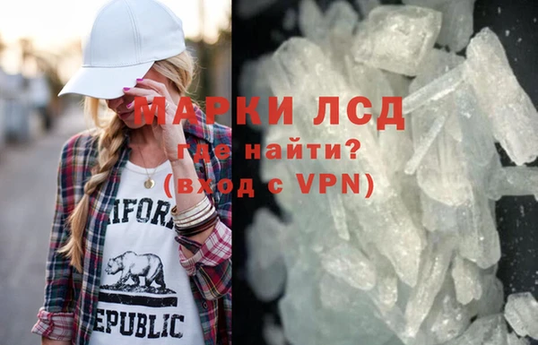 прущие грибы Верея
