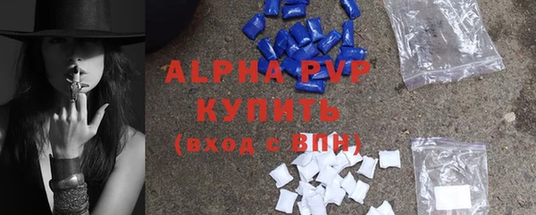 прущие грибы Верея