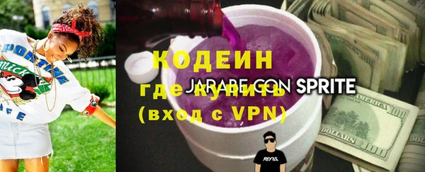 прущие грибы Верея