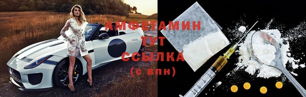 прущие грибы Верея
