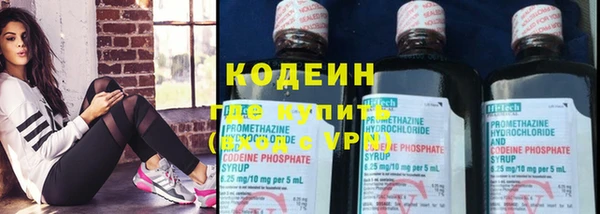 прущие грибы Верея