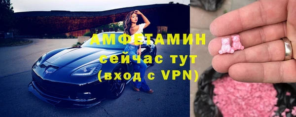 прущие грибы Верея