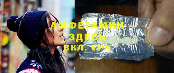 прущие грибы Верея