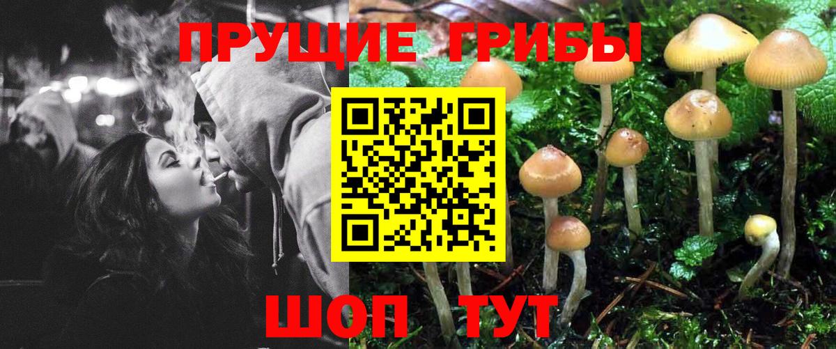 купить наркоту  Псилоцибиновые грибы мухоморы  Вход с VPN  Рузаевка 